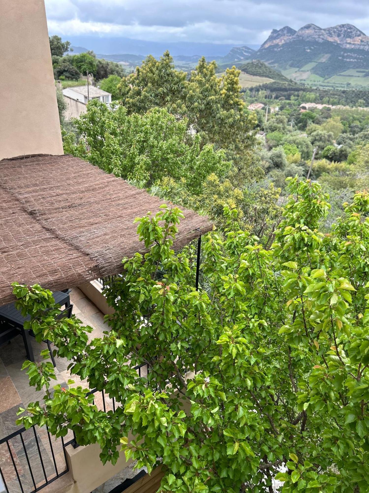 Villa Casa San Matteu Patrimonio Exterior foto